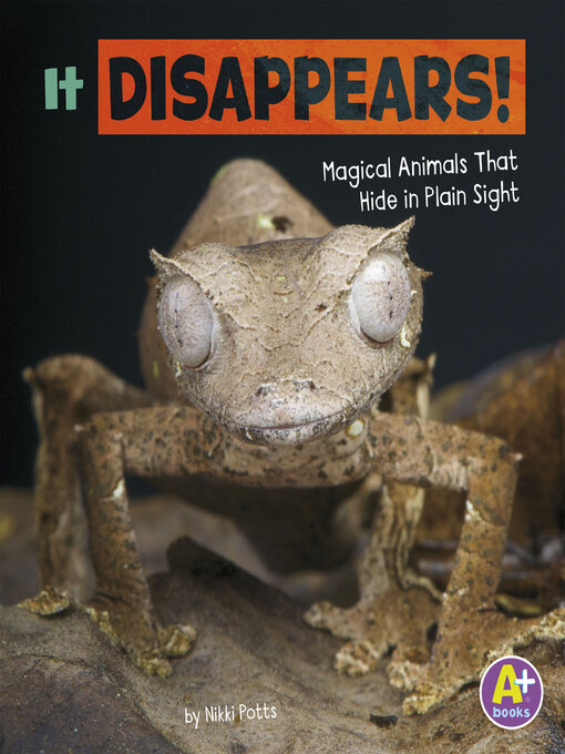 Title details for It Disappears! by Nikki Potts - Available
